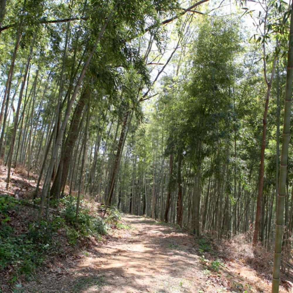 주변전경